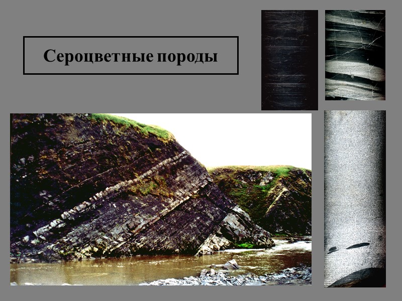 Сероцветные породы